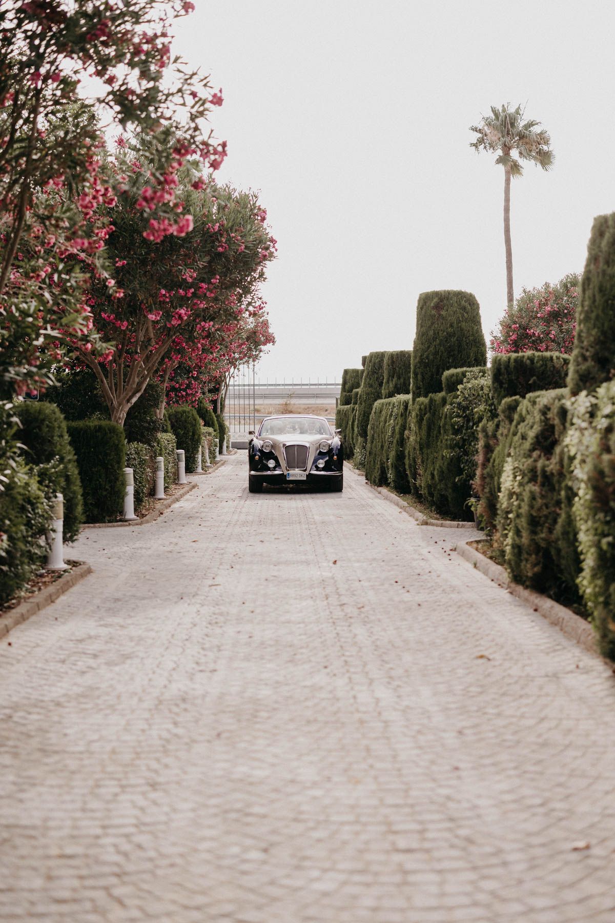 Reportaje natural de boda civil al aire libre en Finca Santa Clotilde, Sevilla