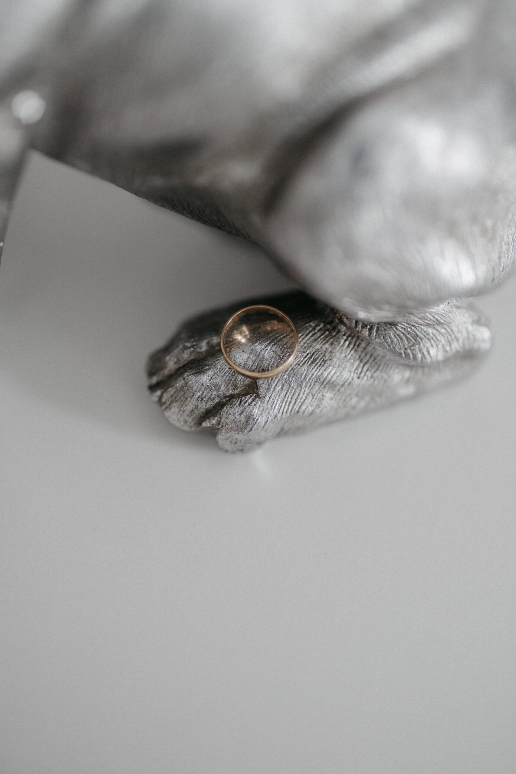Boda en Casa Moral - Los Palacios y Villafranca